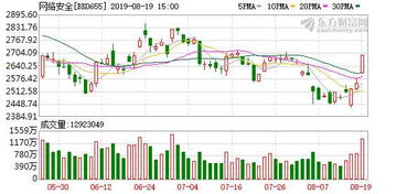 網(wǎng)絡安全威脅持續(xù)上升推動IT安全服務與軟件開發(fā)發(fā)展空間擴大